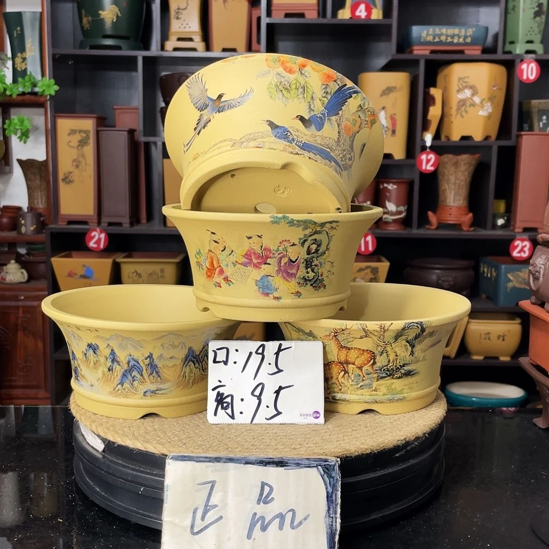 紫砂20CM（含）-50CM（不含）