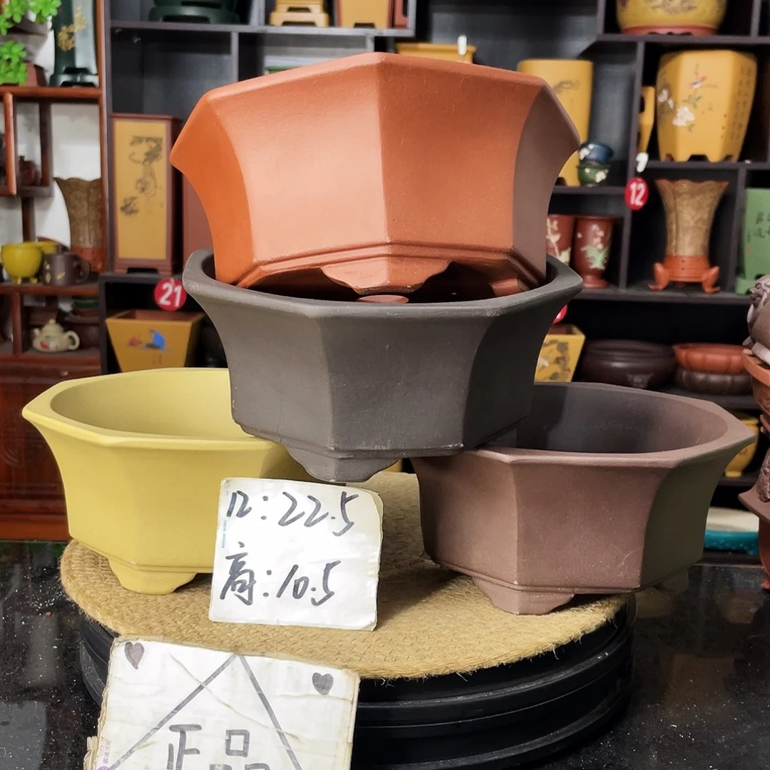 紫砂20CM（含）-50CM（不含）