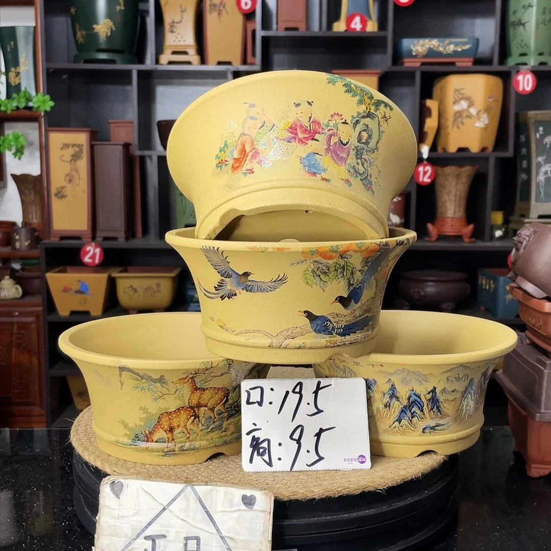 红陶20CM（含）-50CM（不含）