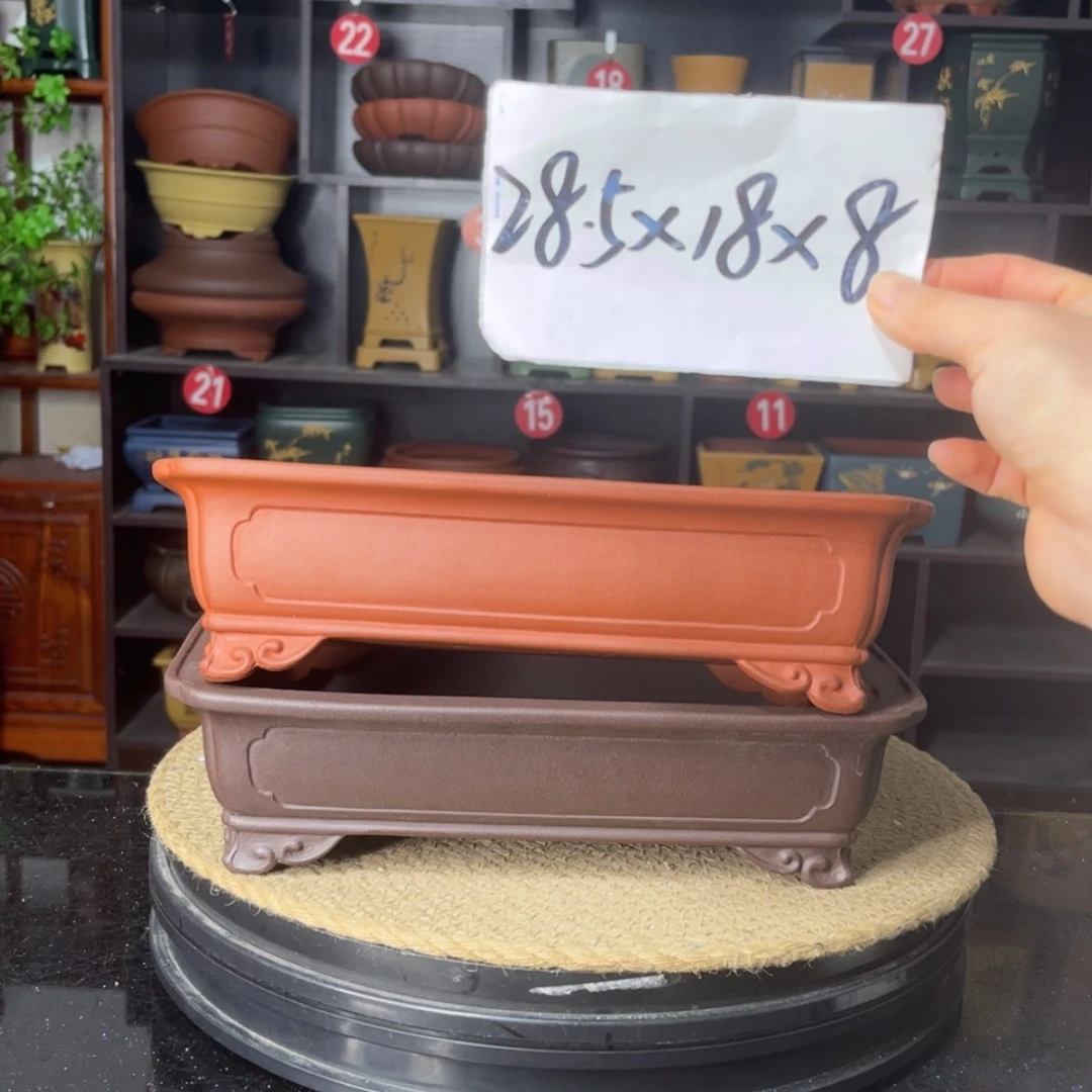 【闪购商品】紫砂15cm以下