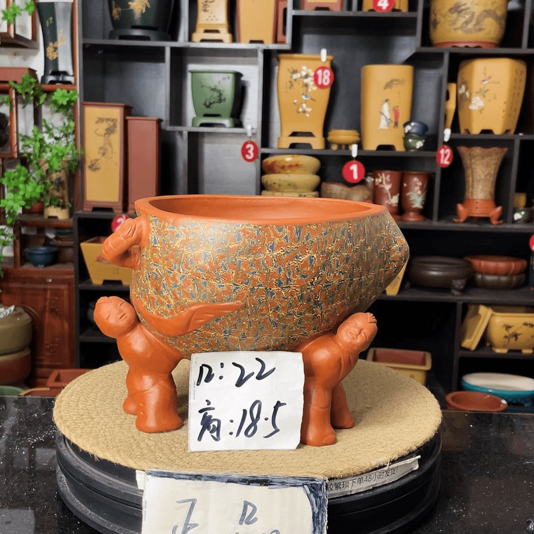 紫砂20CM（含）-50CM（不含）