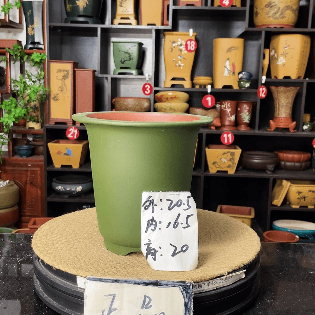 紫砂20CM（含）-50CM（不含）
