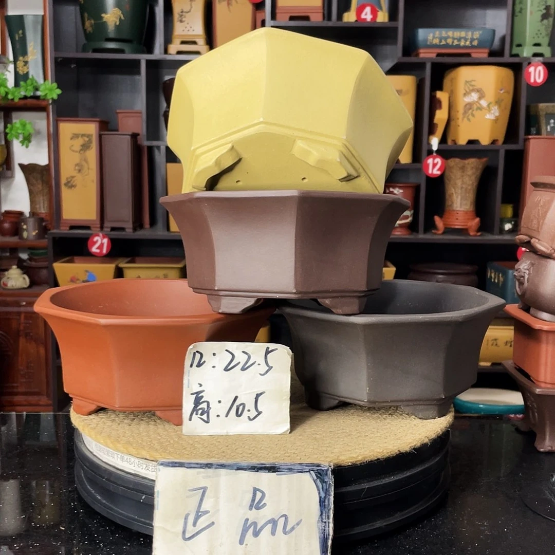 紫砂20CM（含）-50CM（不含）