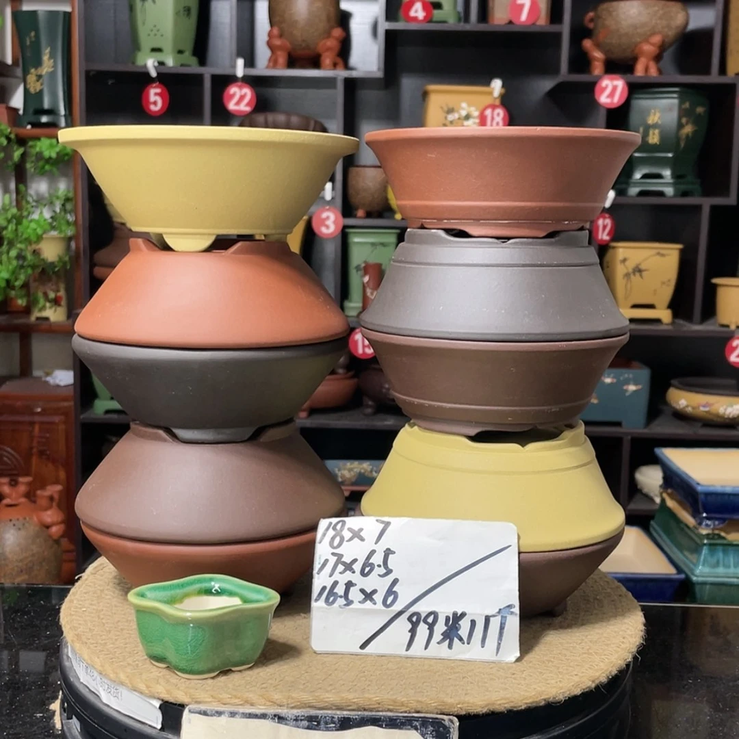 【闪购商品】紫砂15cm以下