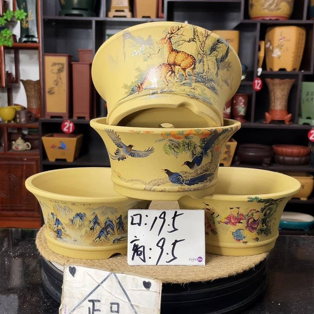 紫砂20CM（含）-50CM（不含）