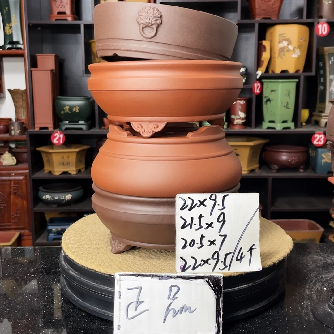 紫砂20CM（含）-50CM（不含）