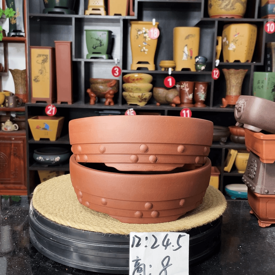 紫砂20CM（含）-50CM（不含）