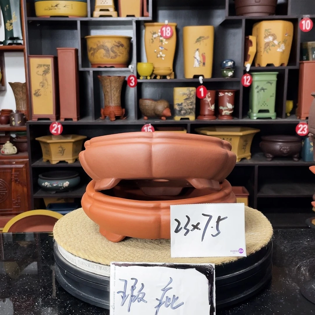 紫砂20CM（含）-50CM（不含）