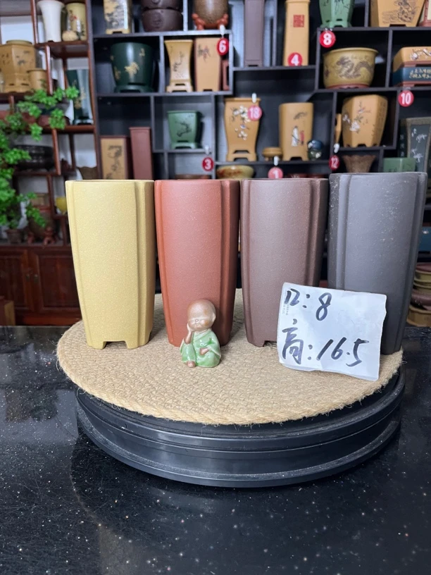 盆尚好花盆1直播链接