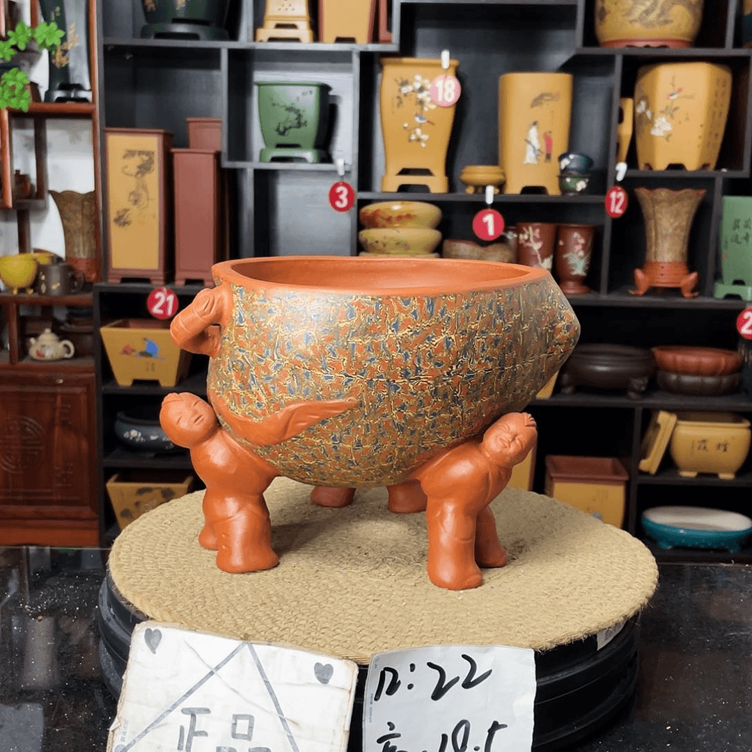 紫砂20CM（含）-50CM（不含）