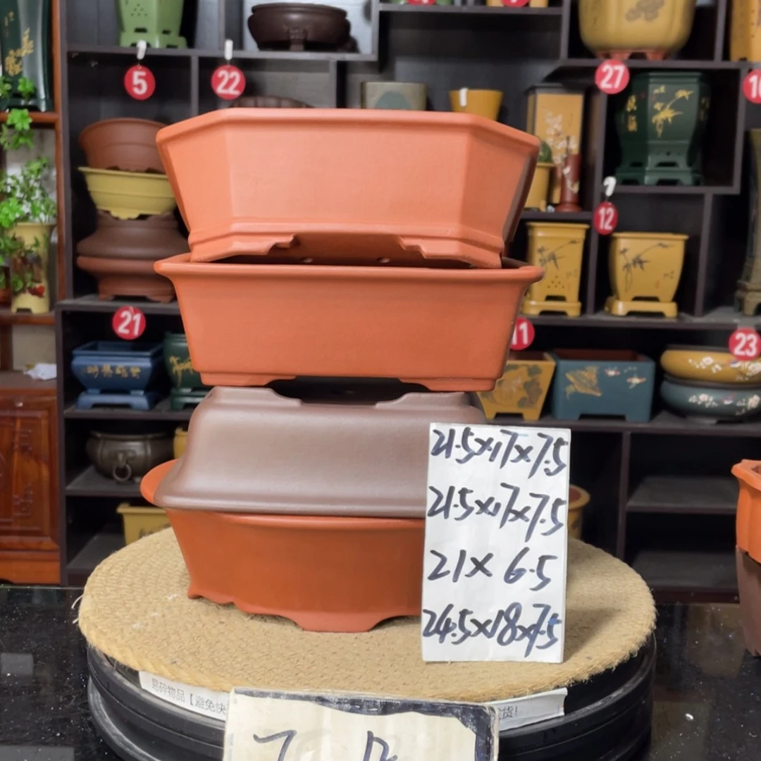 【闪购商品】紫砂15cm以下