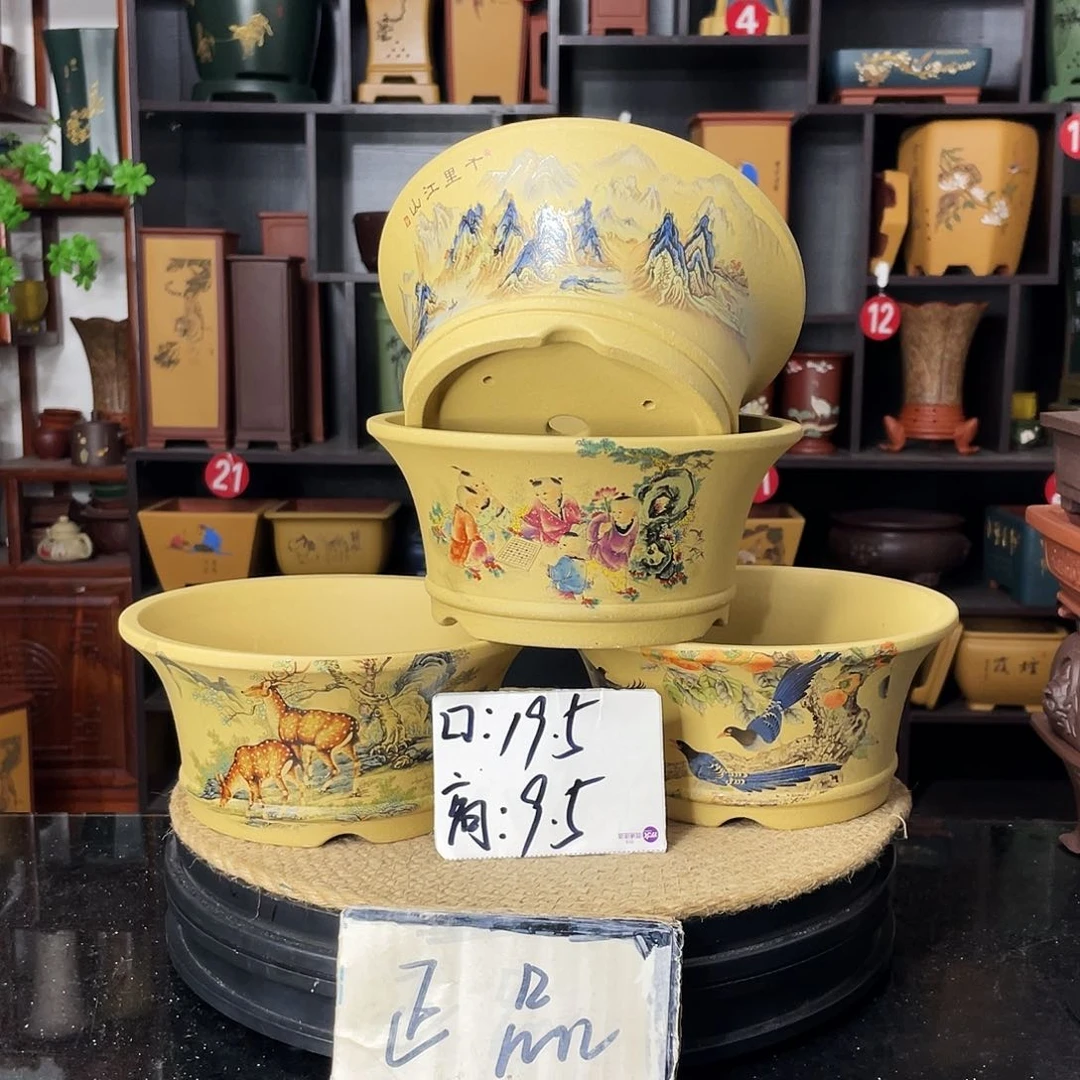 紫砂20CM（含）-50CM（不含）