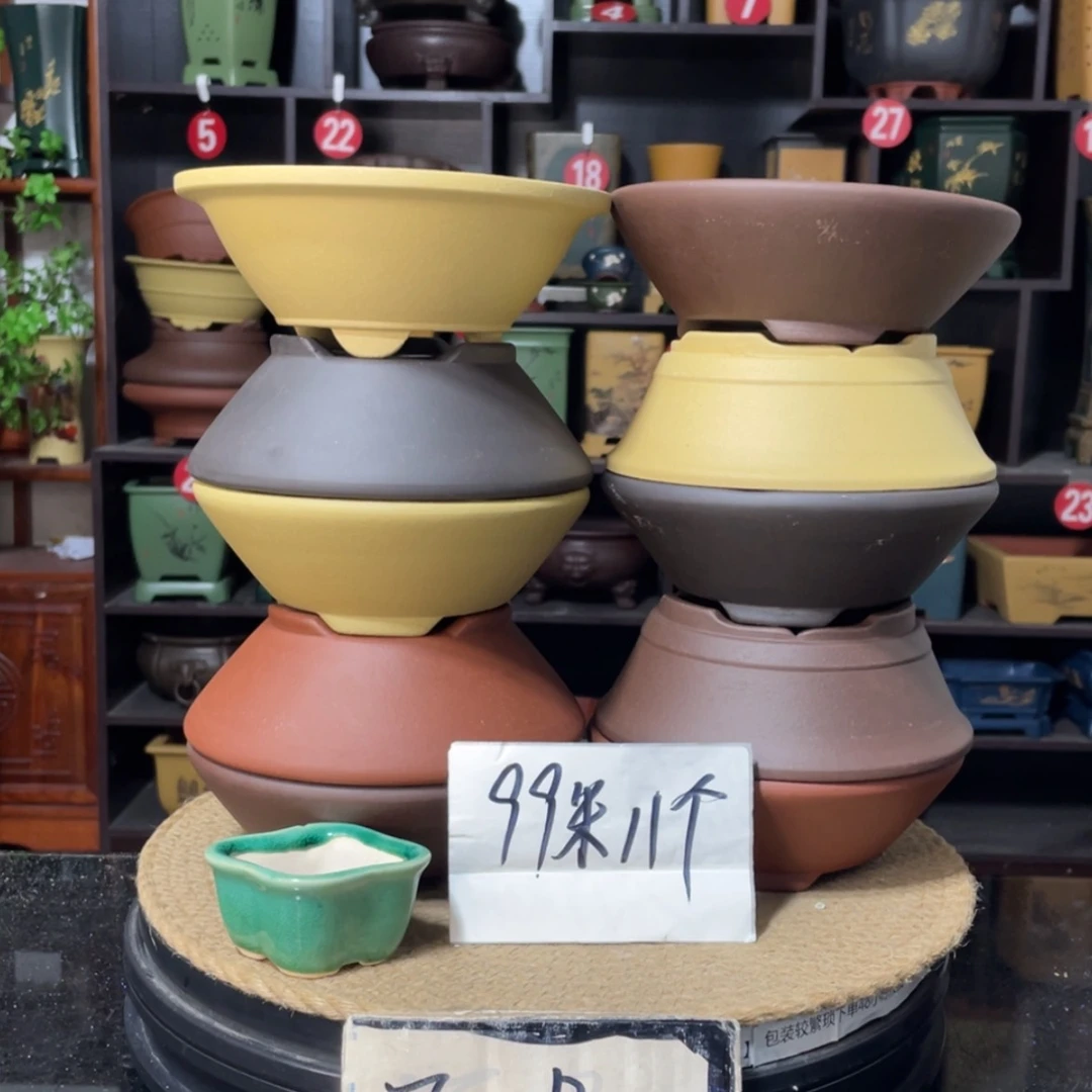 【闪购商品】紫砂15cm以下