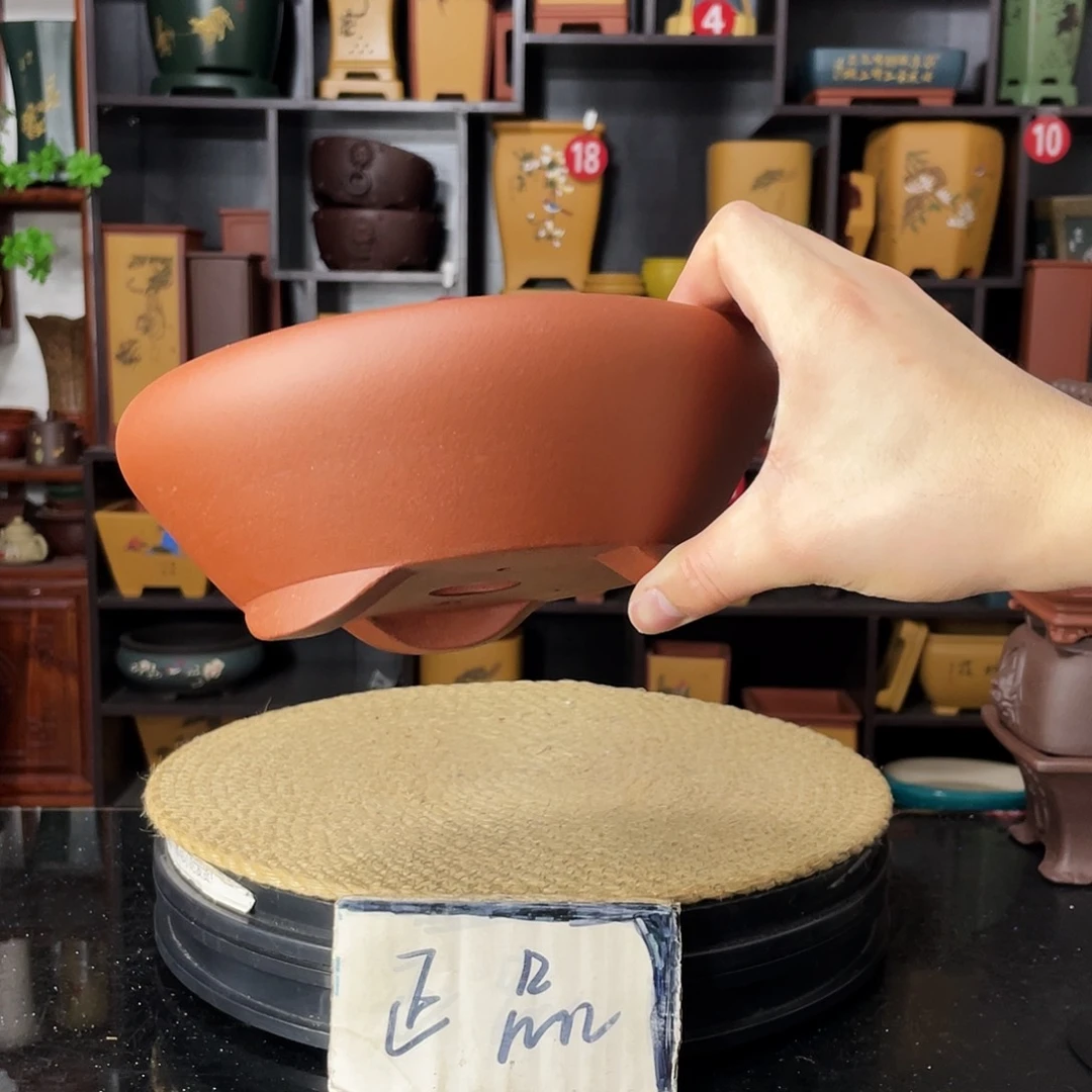 紫砂20CM（含）-50CM（不含）健****器