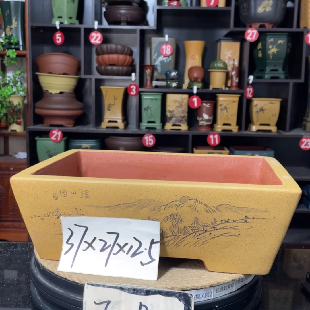 【闪购商品】紫砂15cm以下