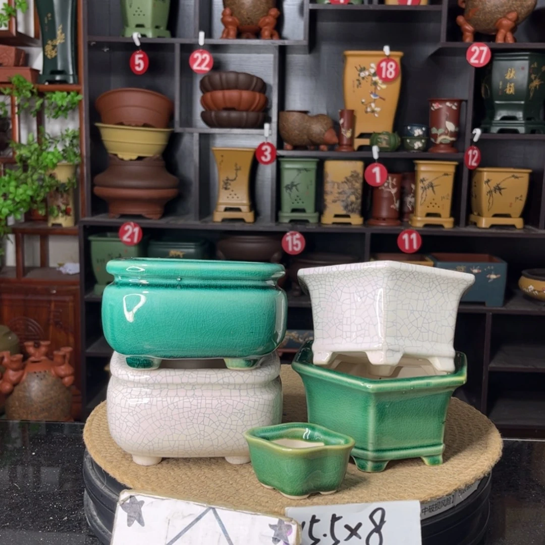 【闪购商品】紫砂15cm以下