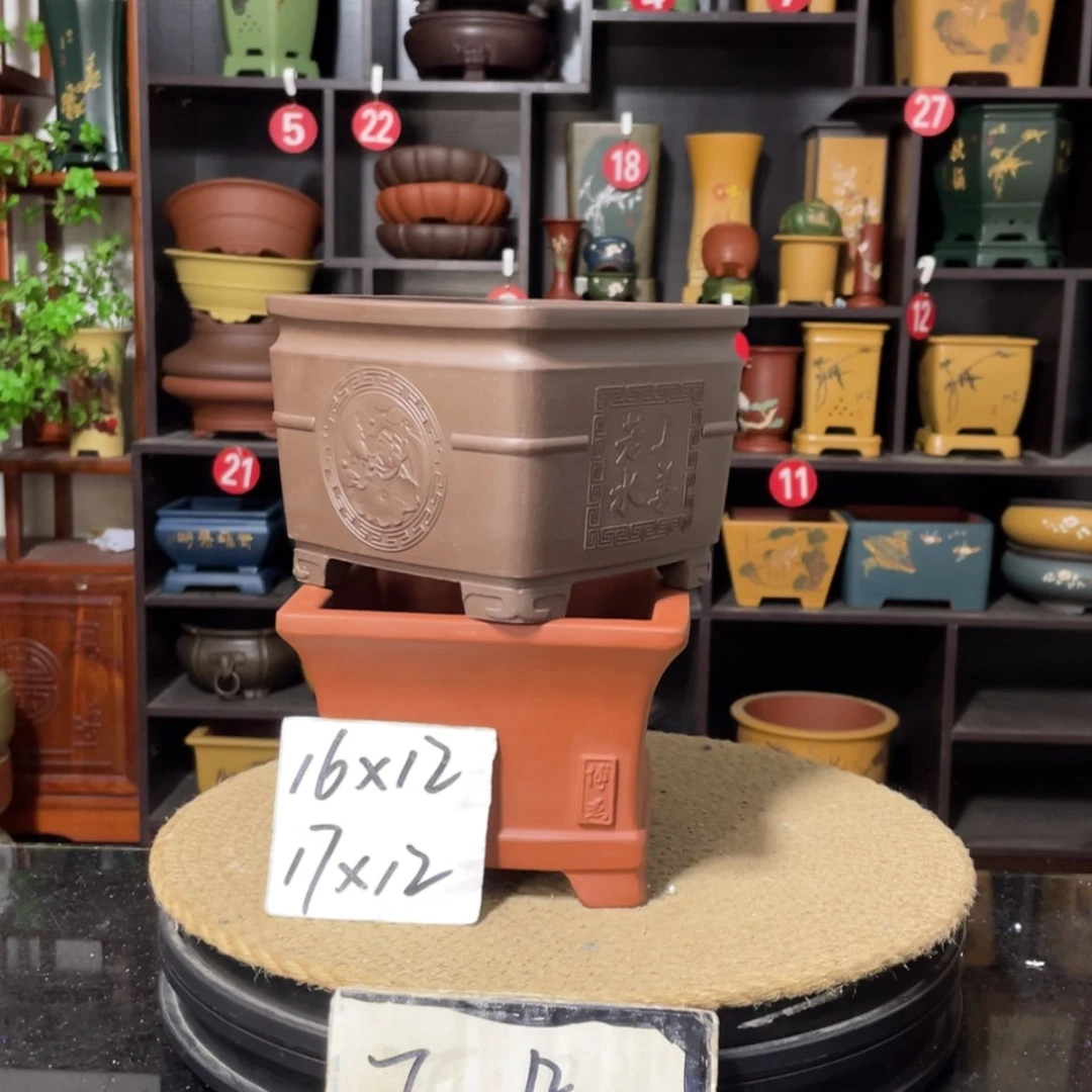 【闪购商品】紫砂15cm以下