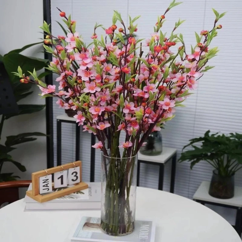 水培红梅鲜枝树干枝鲜花室内花卉盆栽鲜切花水培插花