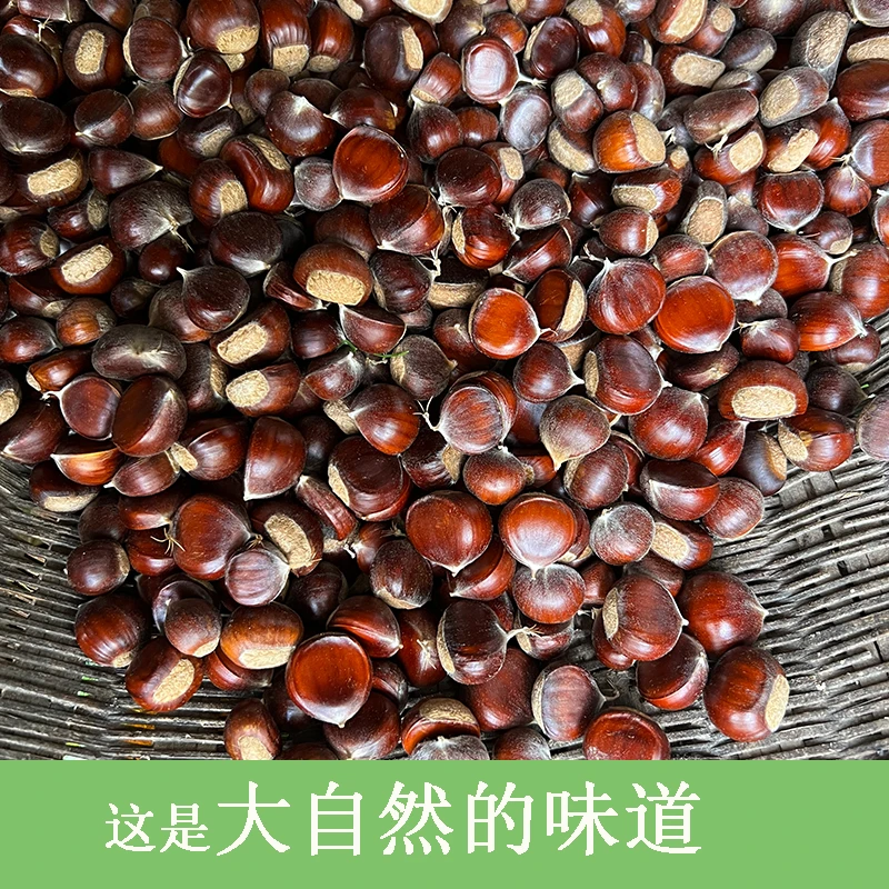 秦岭野生小板栗生板栗野生板栗野生毛栗子略阳板栗2500g