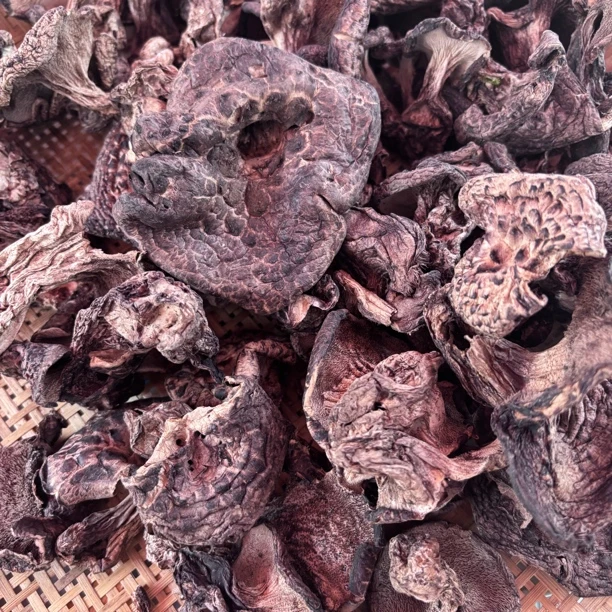 【野生虎掌菌】小蒲村长推荐  农户采摘 无硫晒干 野生虎掌菌