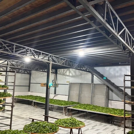 2024年冰岛混采夏茶 普洱茶（生茶）200克/饼