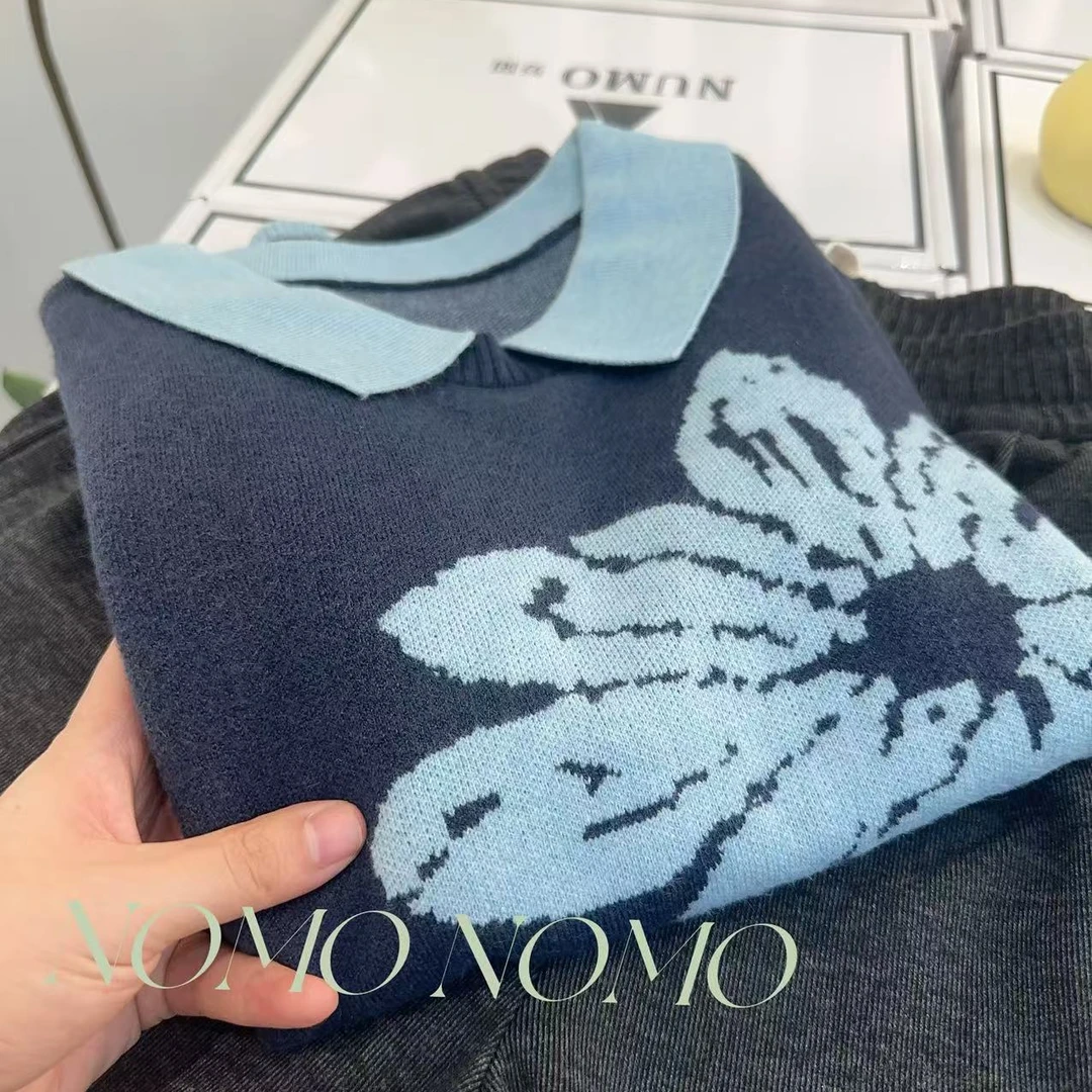 【蓝色太阳花】2024新款秋冬时尚百搭套头针织衫A998