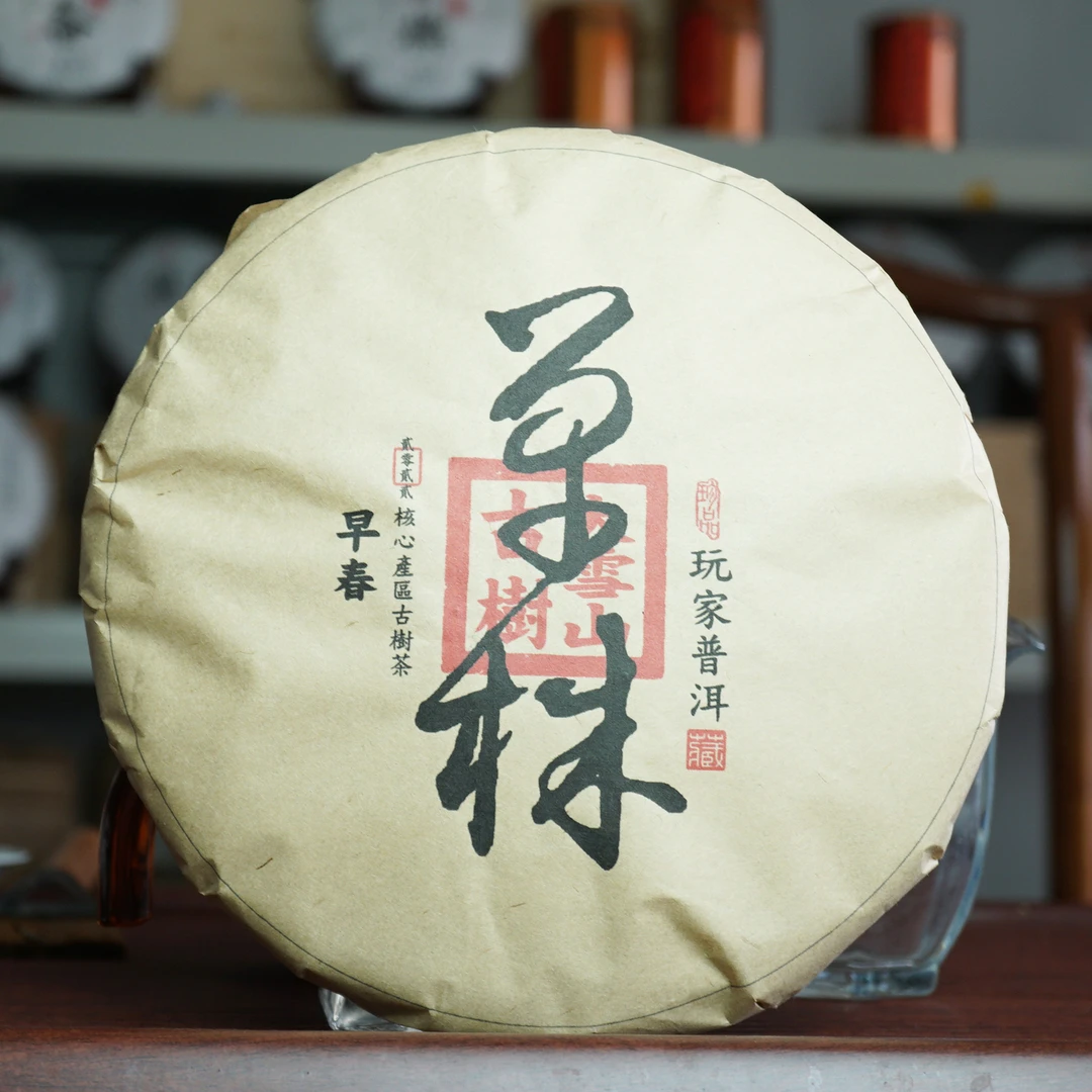 2022年勐库大雪山单株古树春茶普洱茶挑选20棵2.7公斤以上混压