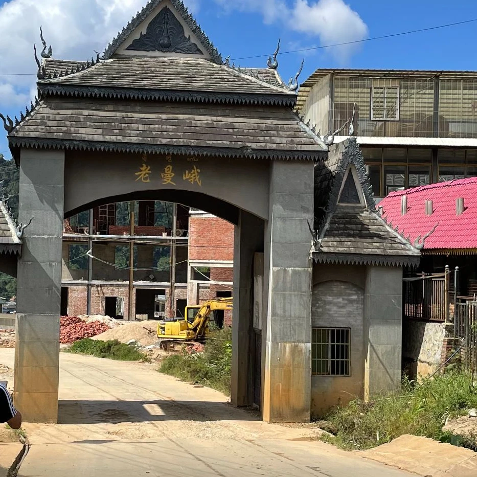 2024老曼娥古树春茶 生茶小圆饼8克一片 一盒20片共160克