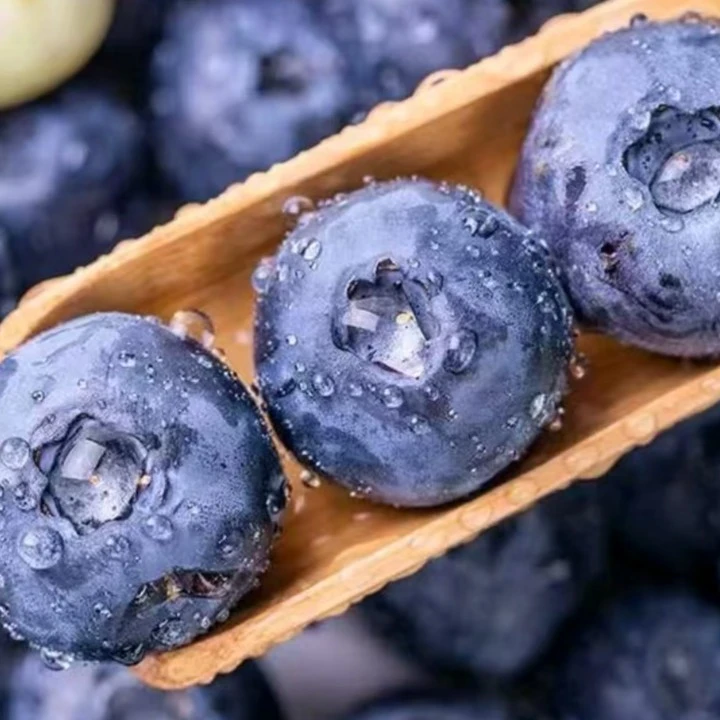 【丹东花香蓝莓】口口爆汁留香脆甜可口新鲜产地直发