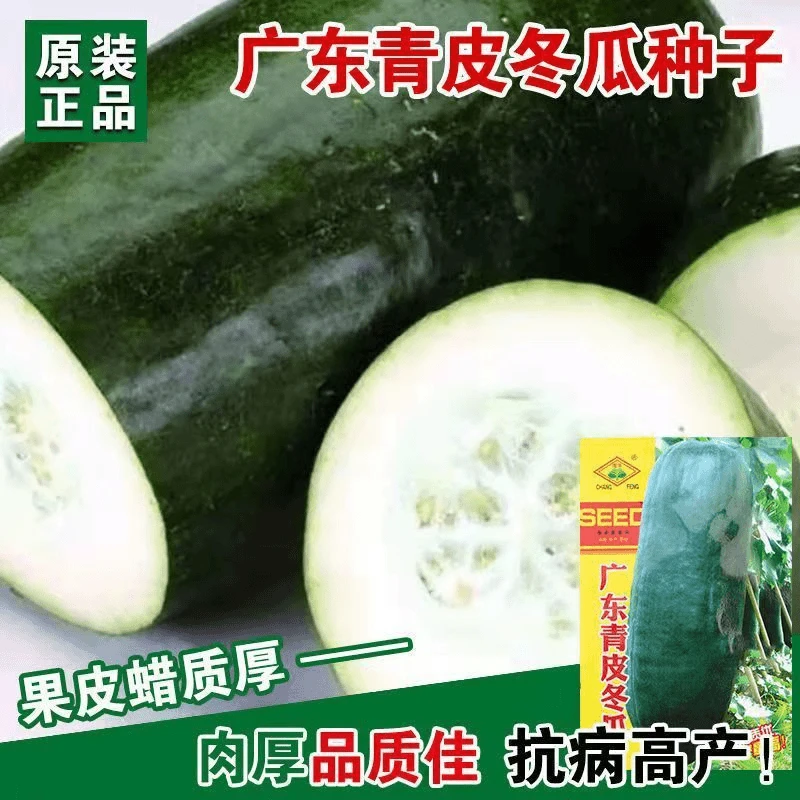 【全店满5件包邮】广东青皮冬瓜种子抗病高产中晚熟品种阳台庭院