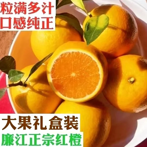 大果礼盒装  廉江红江橙，新鲜应季，现摘现发,1箱10斤营养酸甜