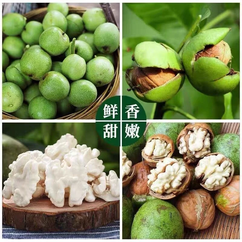 到后5斤鲜核桃大核桃