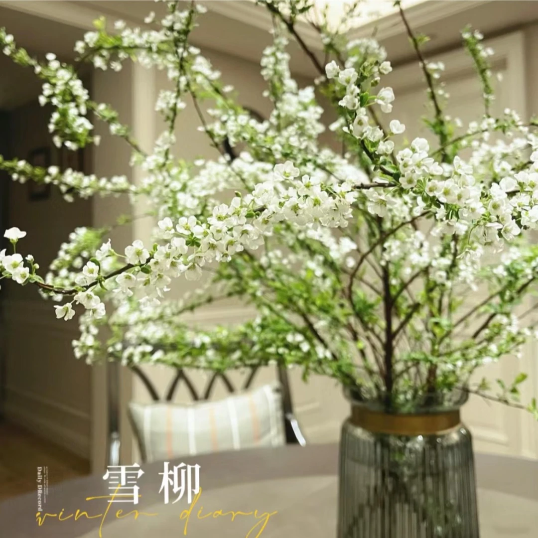 【云荷】雪柳 冬季浪漫氛围感满满 枝条形态灵动 遇水开花