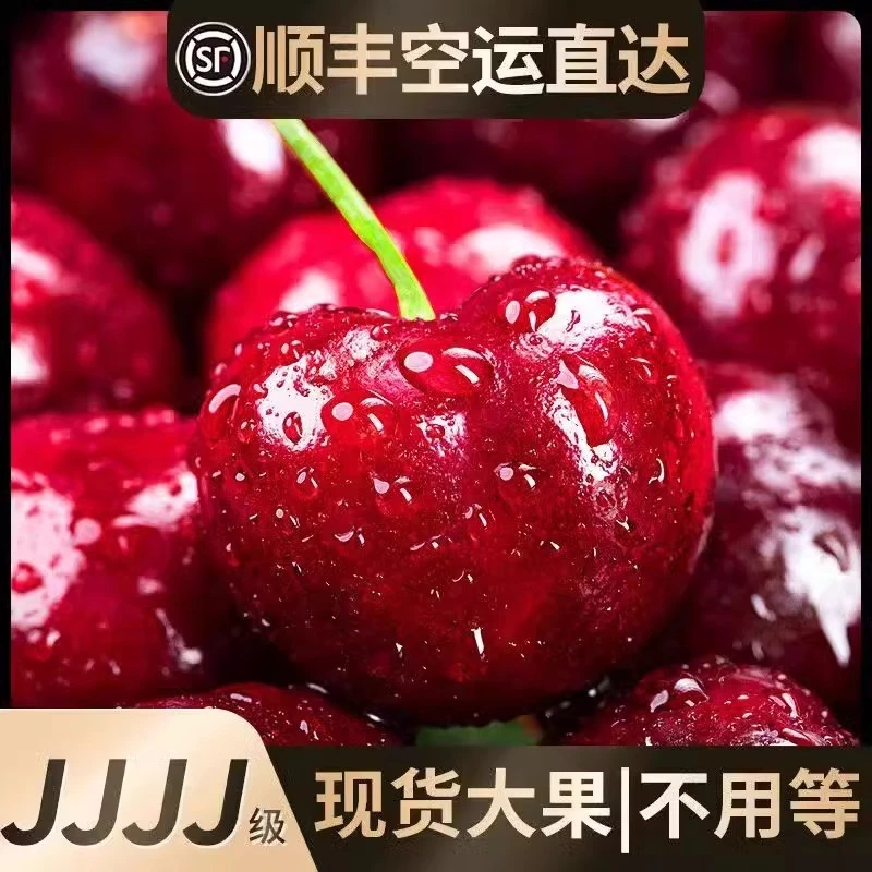 桑提娜进口智利空运车厘子新鲜水果礼盒1-3斤J-5J饱满香甜多汁 赔