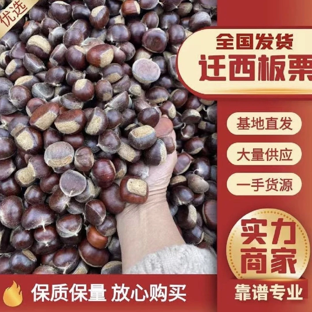 2025年正宗迁西板栗燕山野生油栗老树新鲜甘栗子三斤五斤包邮批发