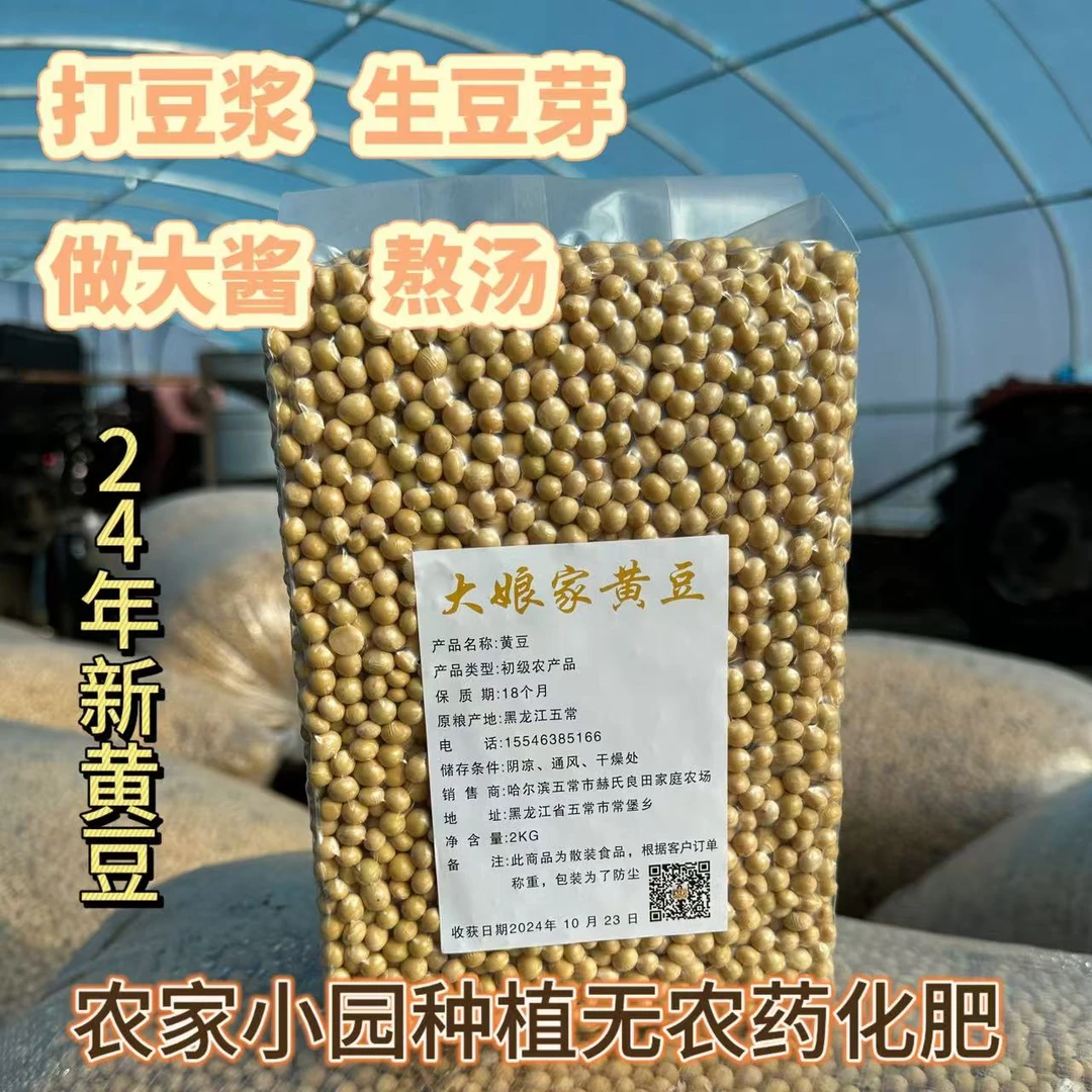 大娘家黄豆24年新黄豆