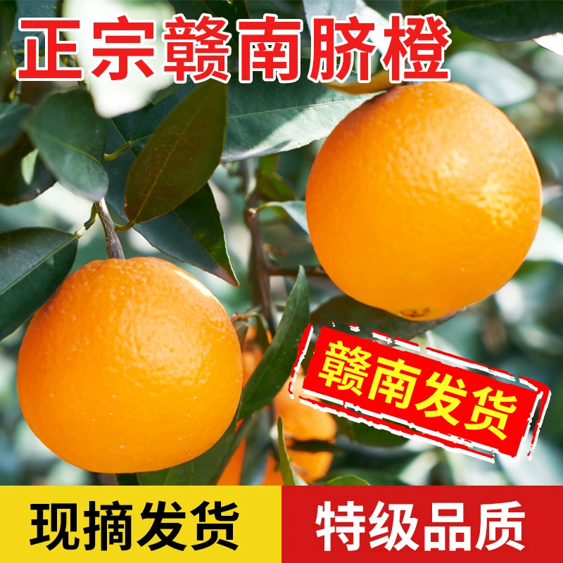 【京东快递】正宗赣南脐橙信丰直发现采先发10斤精品果