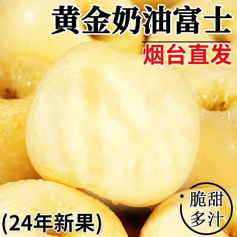 烟台黄金奶油富士苹果新鲜苹果脆甜多汁带箱三斤