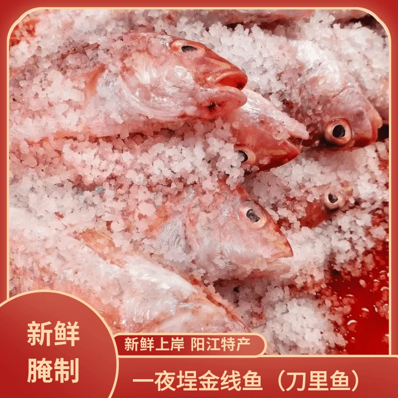 正宗阳江一夜程刀里鱼淡口腌制一夜程金线鱼广东刀里鱼阳江特产