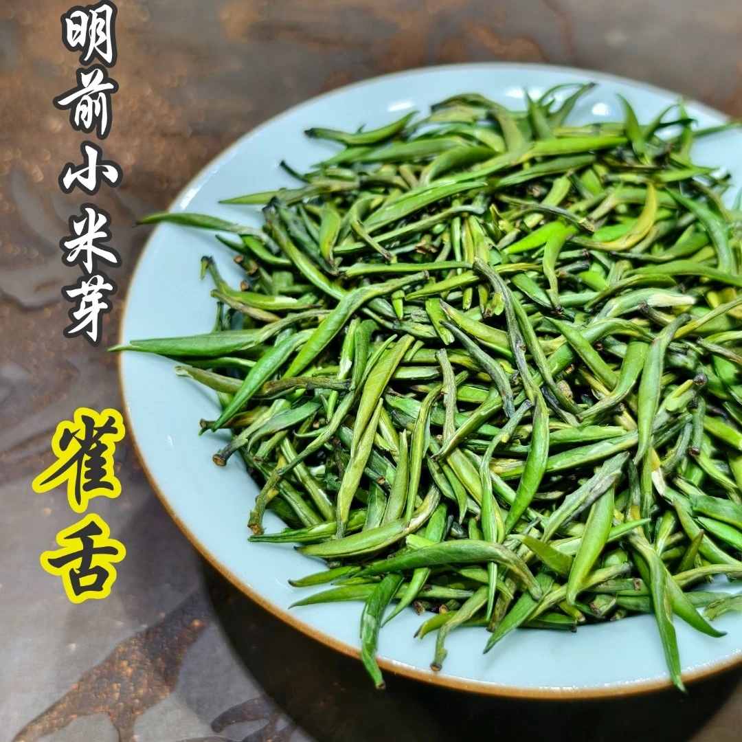 汀茶人（明前小米芽雀舌）头采雀舌125g湄潭翠芽茶叶精选早春鲜嫩