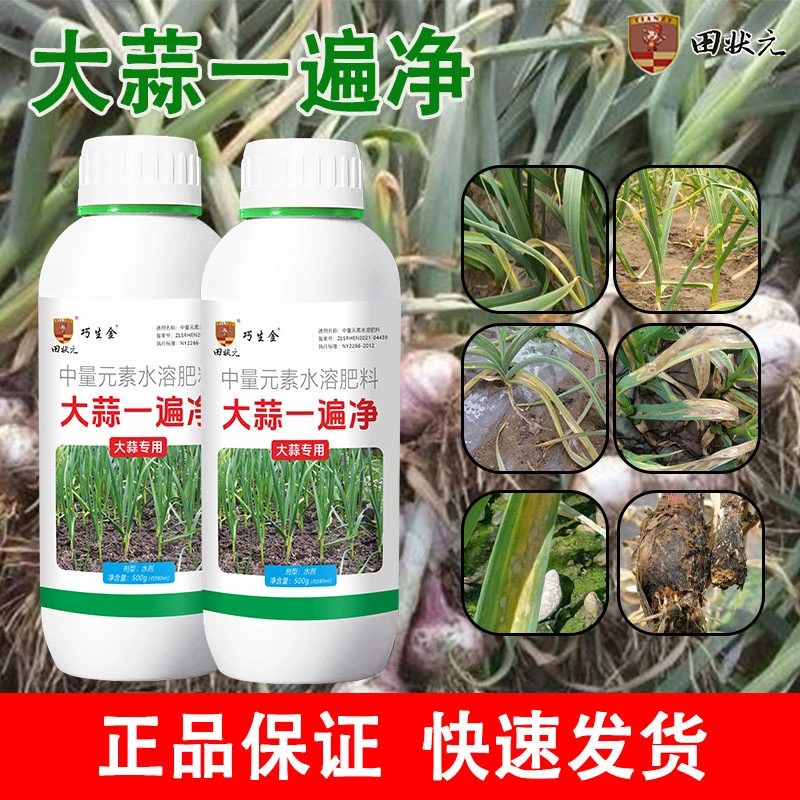 大蒜种植专用一遍净生根壮苗膨大增产预防干尖黄叶根腐正品叶面肥