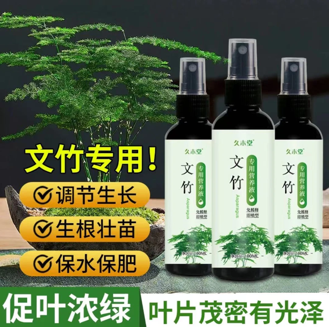 文竹营养液专用肥叶子发黄改善黄叶落叶干尖枯瘦生长植物营养液