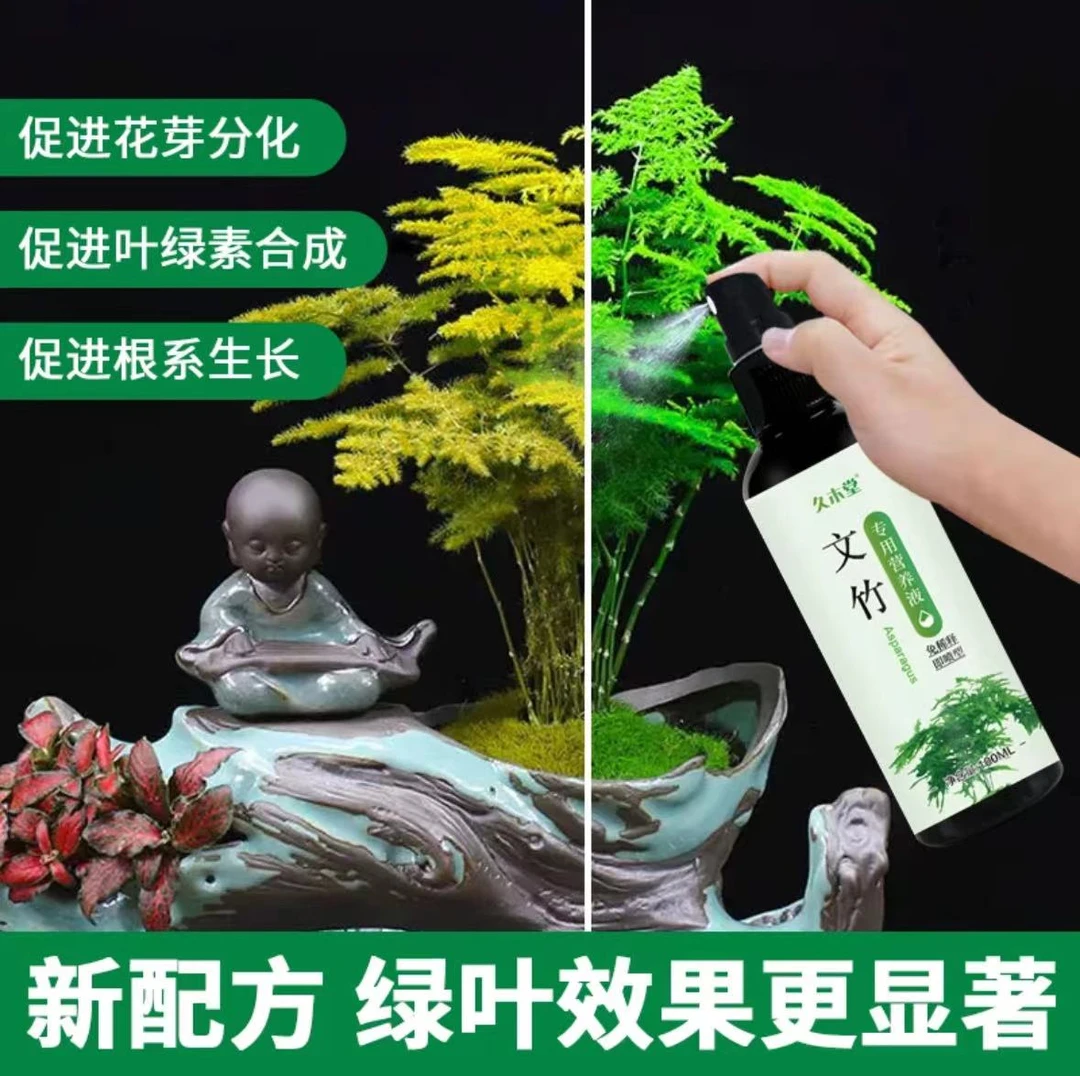文竹专用营养液改善烂根干枯家用液体肥微量元素枝叶