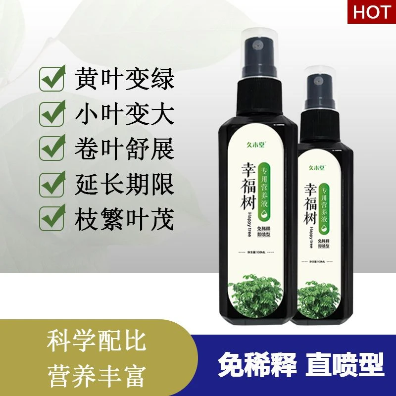 幸福树专用营养液防黄叶枯叶掉叶下垂叶斑烂根专用肥料喷洒生长