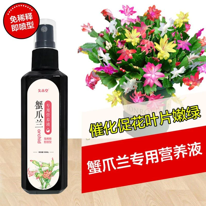 蟹爪兰专用肥营养液催花肥料免稀释黄叶生根黄叶生长土壤黄化