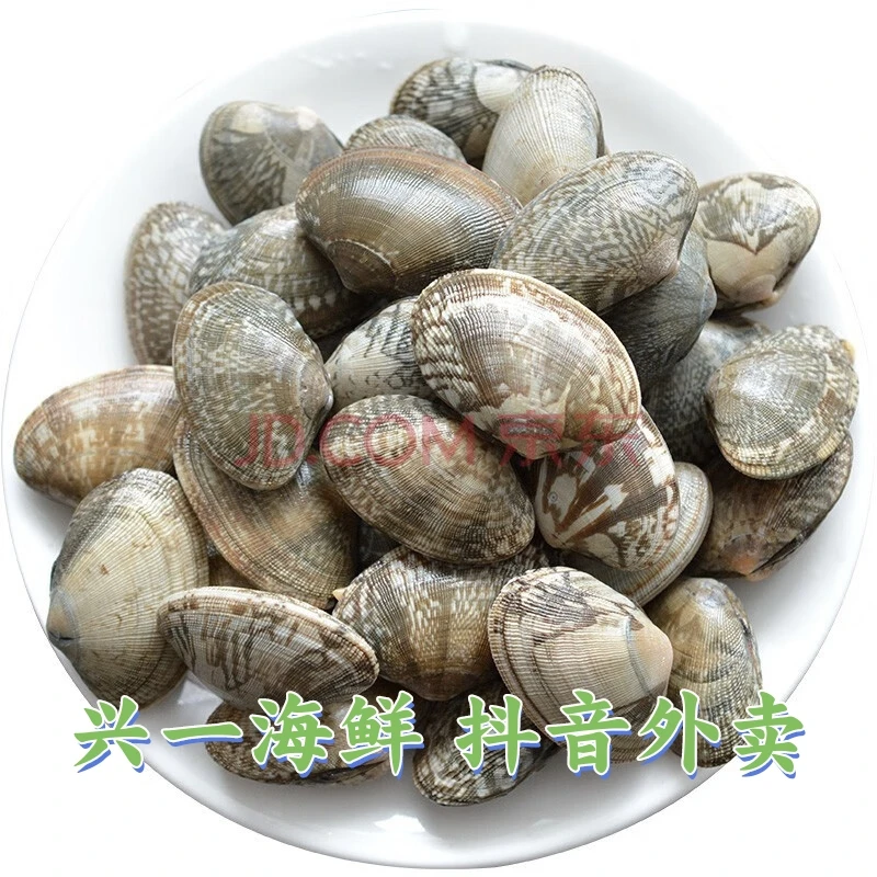 无沙大花甲 加冰发货 甘肃省内次日达