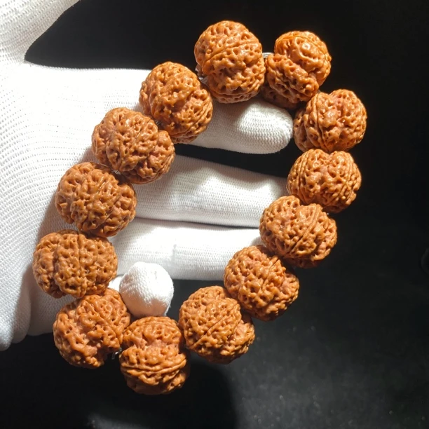 新品龙牙梅花巨肉双龙大金刚原皮金刚菩提618号