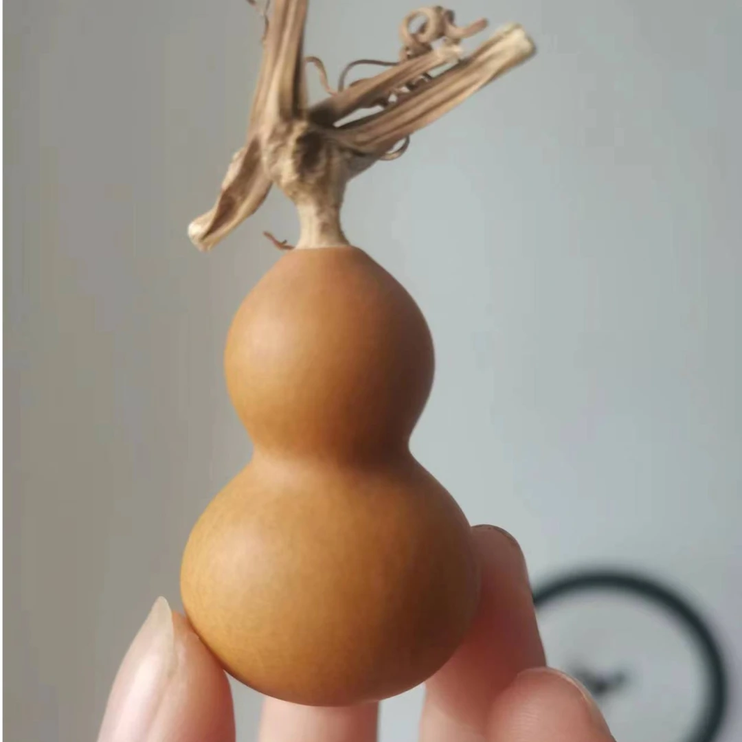 天然精品小葫芦大自然的馈赠