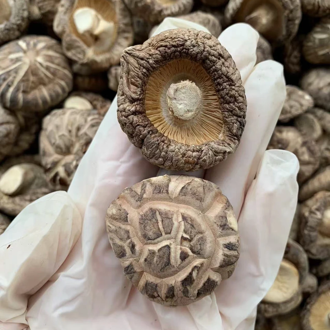 花菇 香菇 新菇 浓浓菇香味 煲汤必备