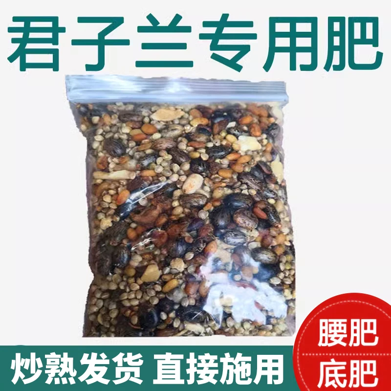 有机君子兰花肥含微量元素助力开花与生长